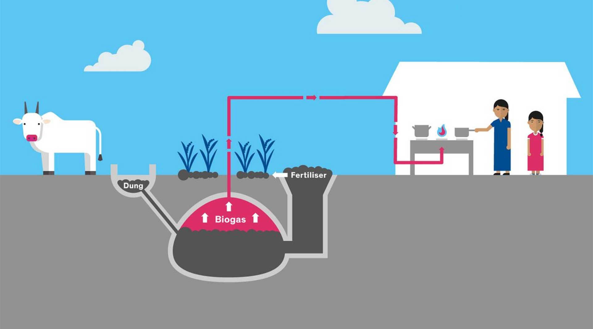 Bioenergy Processes and The Nigerian Scenario UNN Elearning
