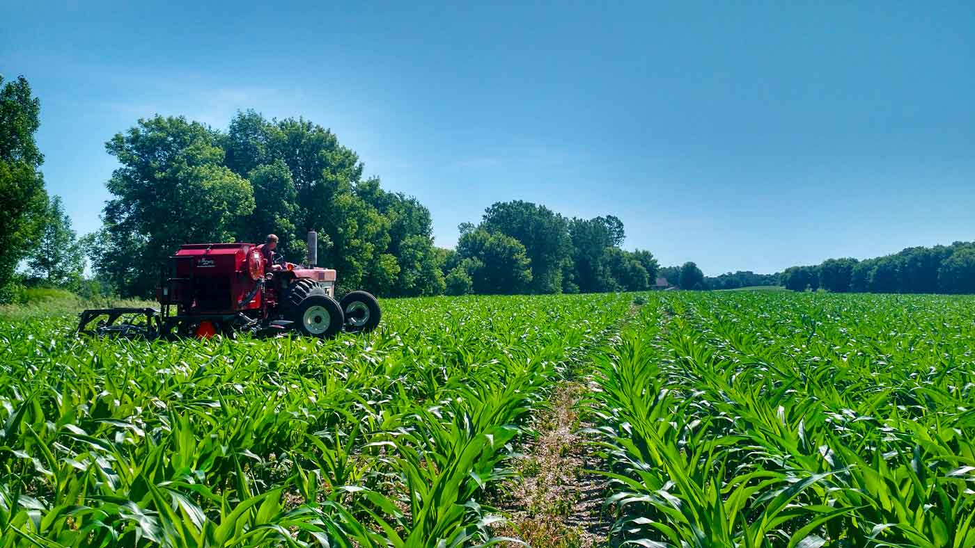 Crop Production UNN Elearning